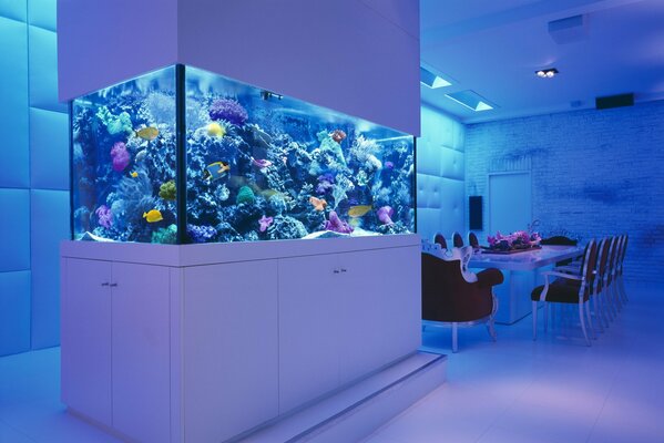 Schönes Interieur mit Aquarium