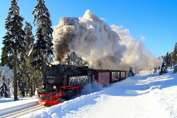 Locomotora de vapor en el fondo del bosque de invierno