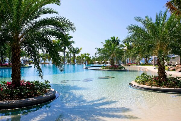 Playa con piscina y palmeras en el complejo