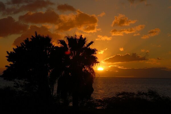 Puesta de sol en la orilla torópica