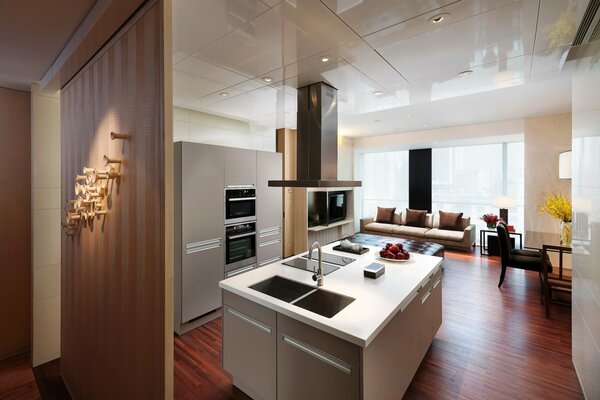 Design moderno della cucina, combinato con il soggiorno