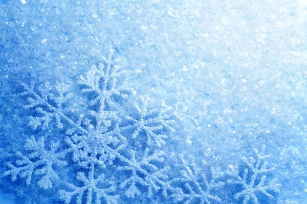 Flocons de neige et un éclat étonnant de givre