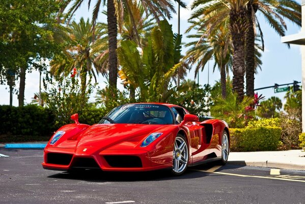 A beautiful red car glitters in the sun