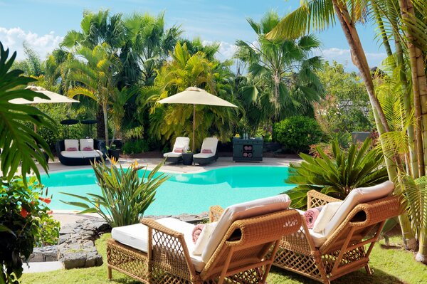 Swimming pool with sun beds and palm trees