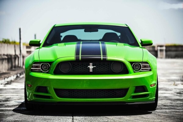 Green Ford Mustang with black stripe