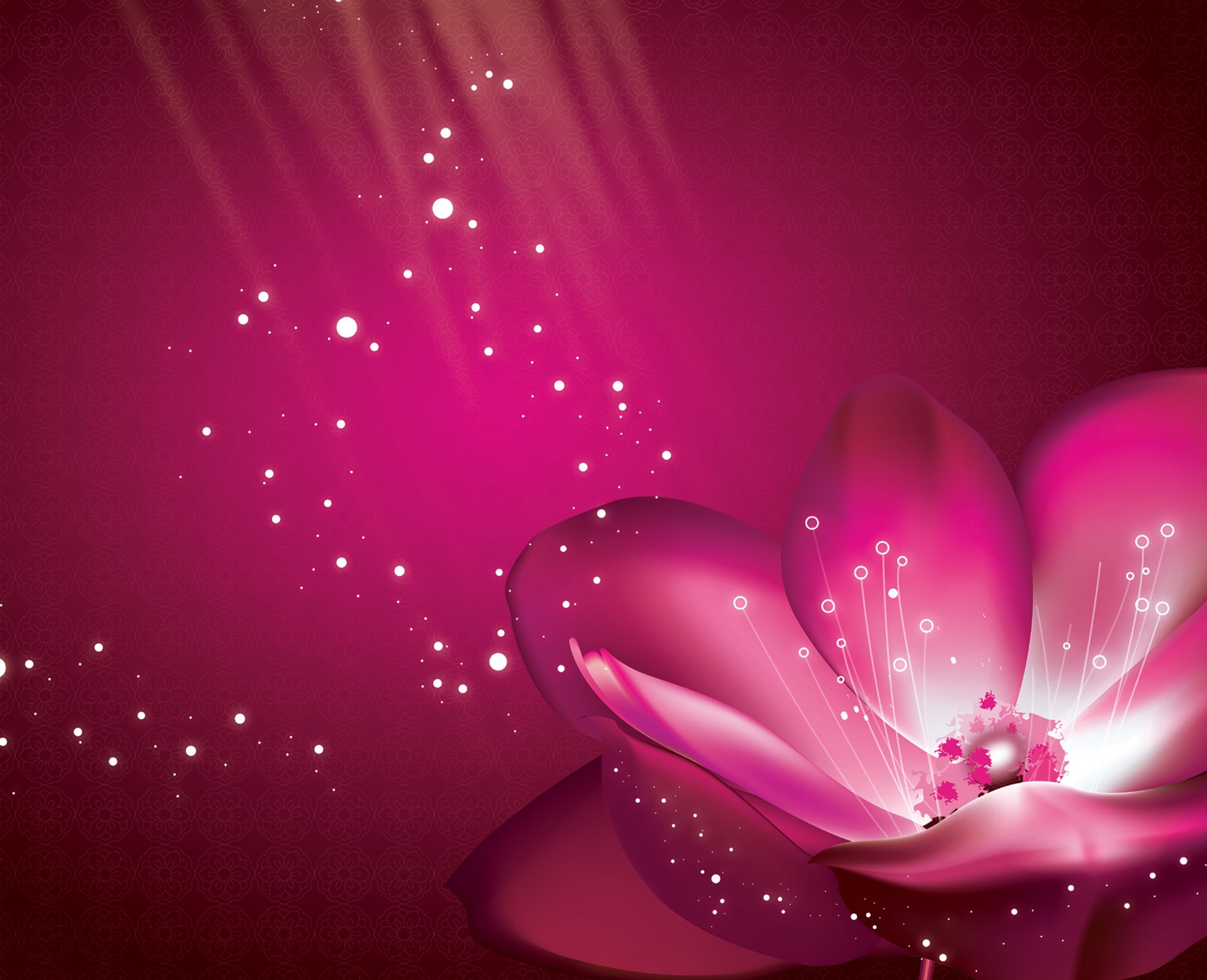 purple flower pink petals background