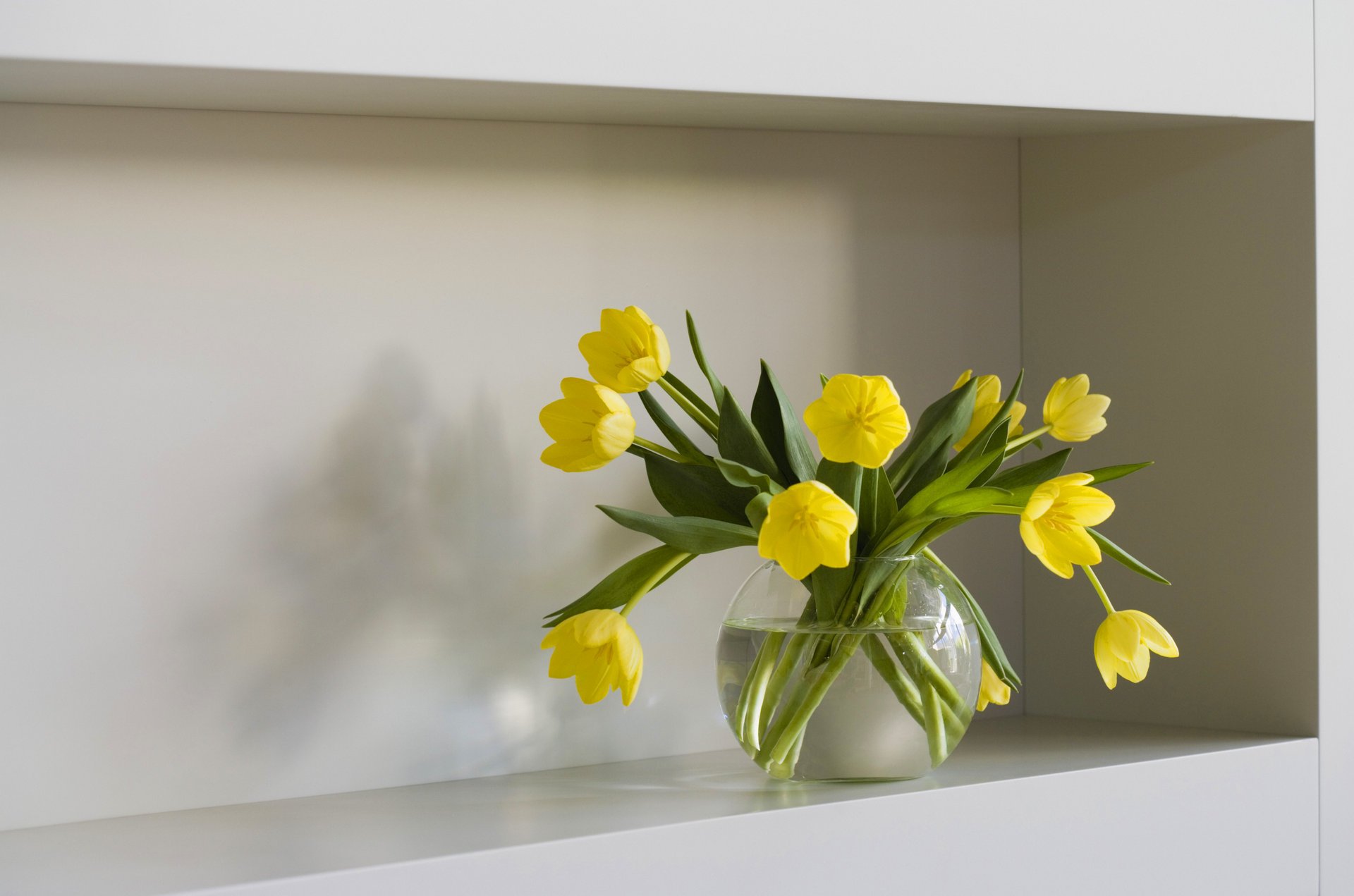 Желтые тюльпаны в вазе на полке - обои на рабочий стол