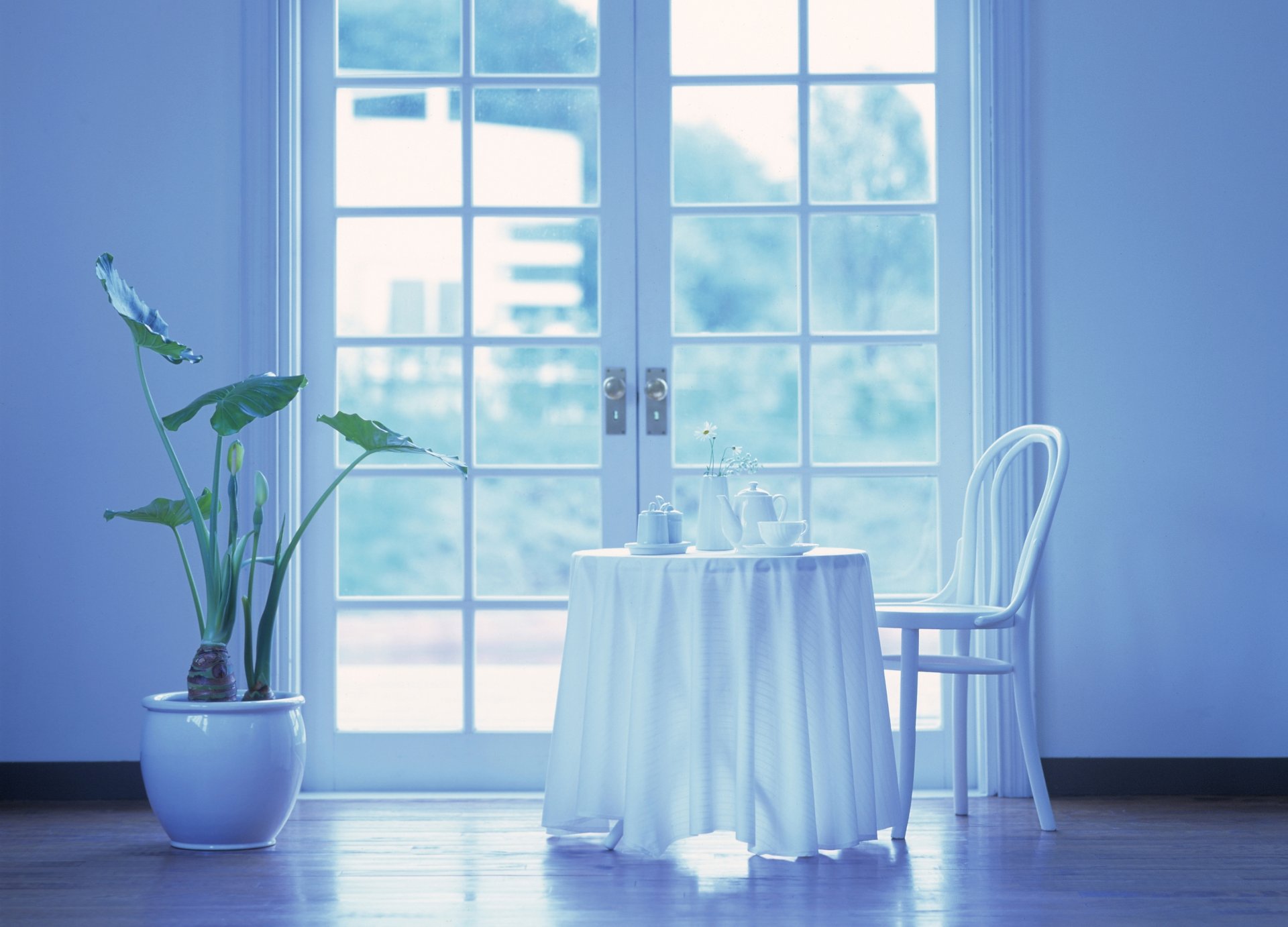 balcon table chaise théière tasse pot plante nappe fleurs