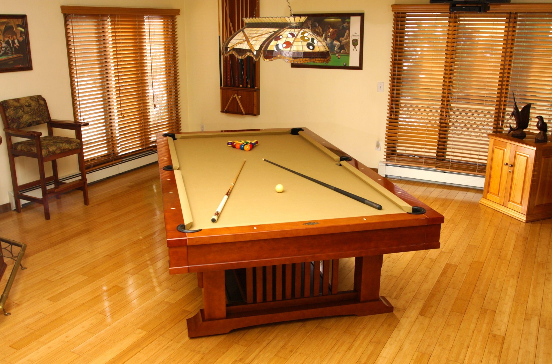 interior room apartment design style pool game table balls tree wood