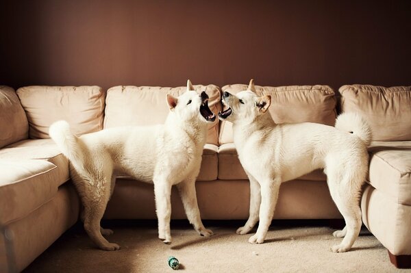 Family conversations next to the sofa