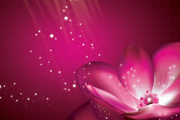 Pink flower on purple background