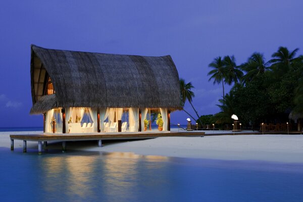 House by the sea with palm trees - paradise