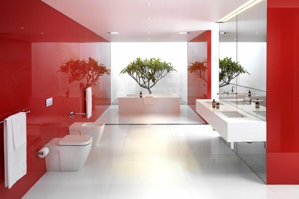 Salle de bain avec mur rouge