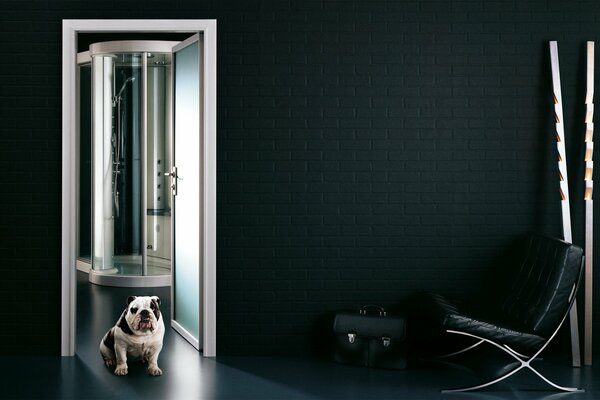 Doggy in un elegante bagno interno