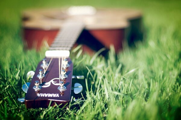 The guitar is lying on the green grass. Serenity and music