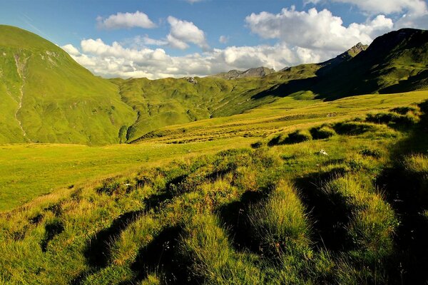 Herbe verte dans les collines de nuages