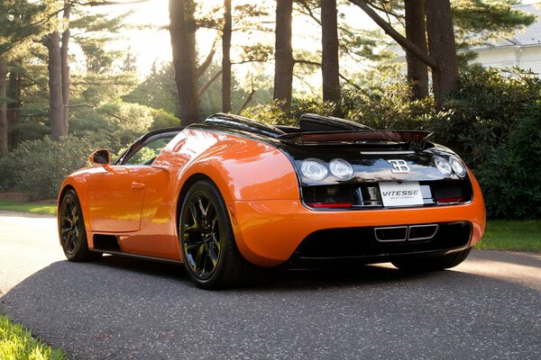 Bugatti sport orange, noir sur fond de forêt