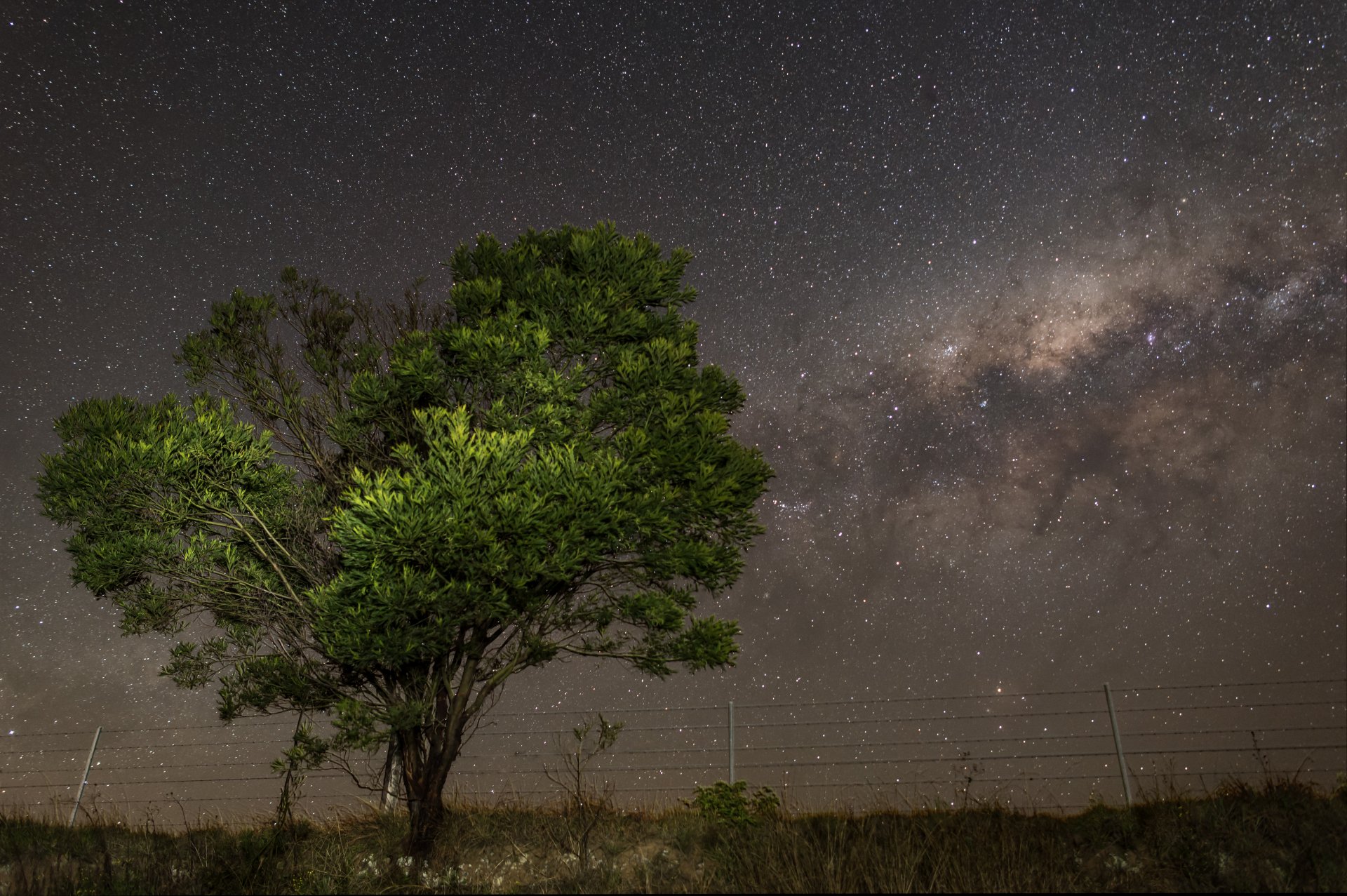 osmose étoiles nuit voie lactée arbre