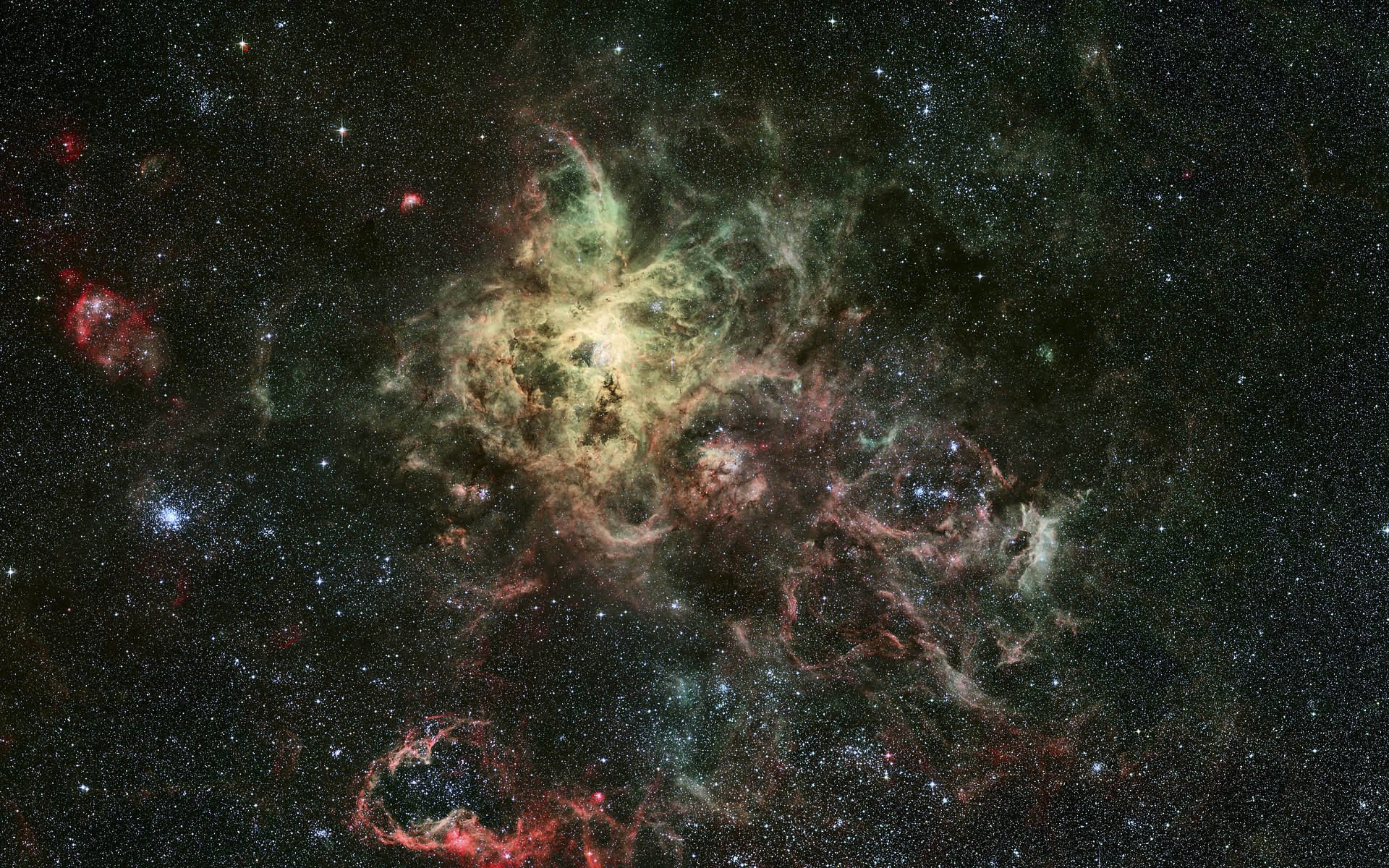 tarantula constellation or ngc 2070 emission nebula