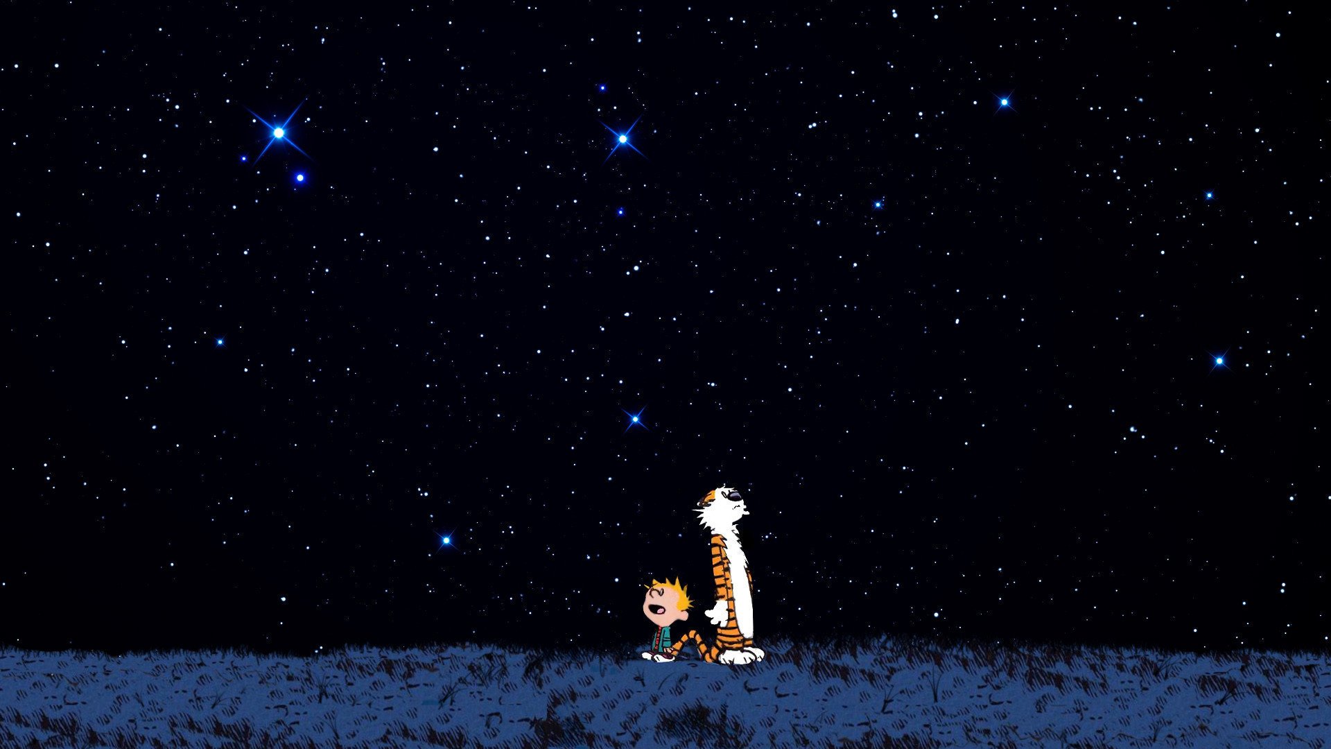 calvin and hobbs boy tiger tigger night stars delight