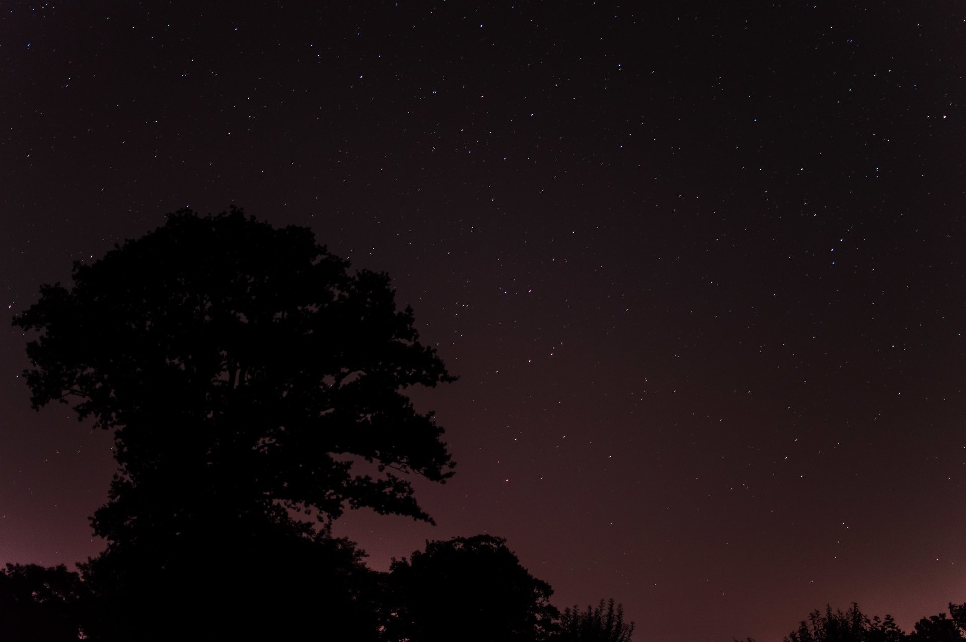 spazio stelle notte alberi