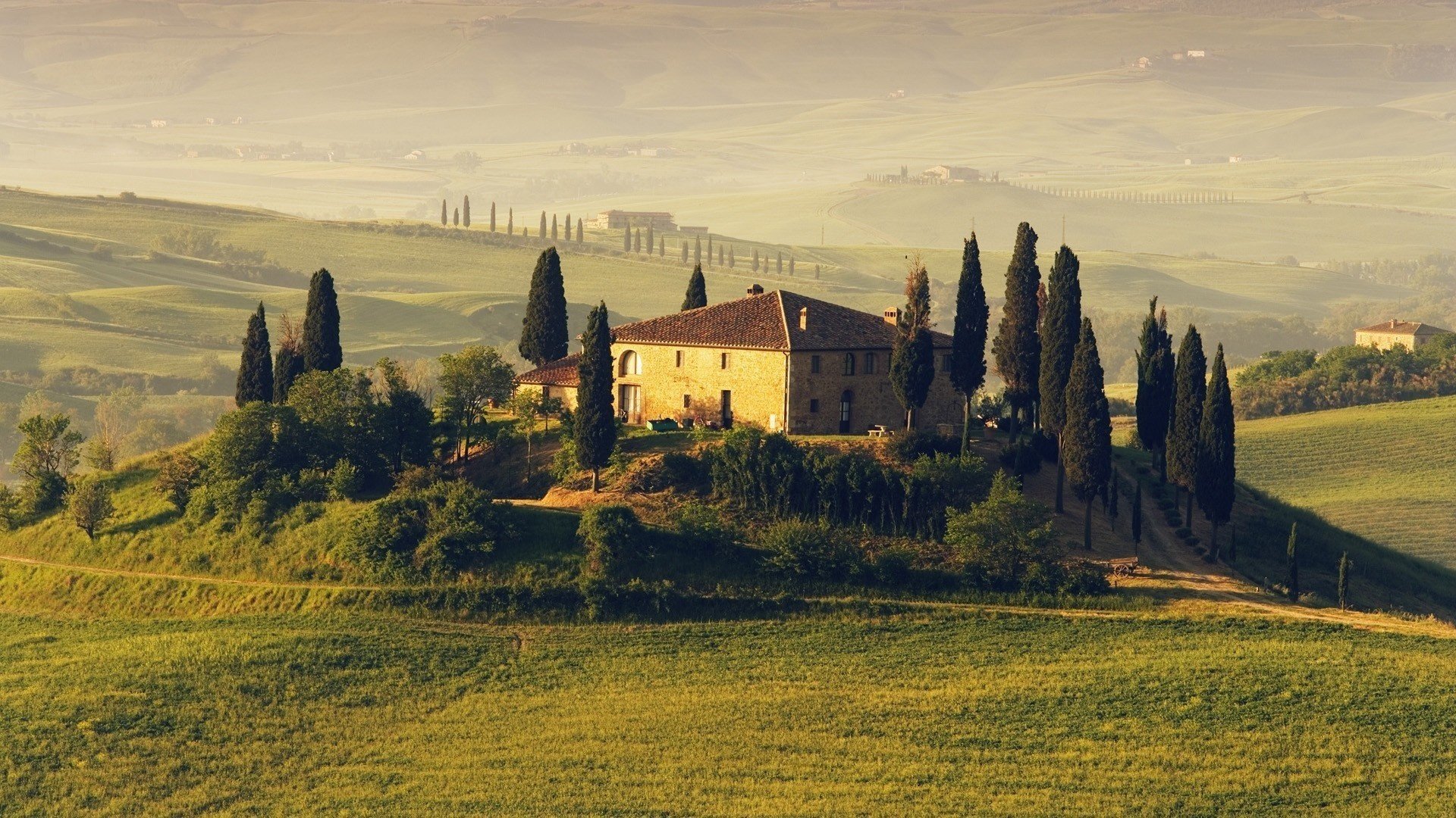 taskania italia árboles casa campos italy