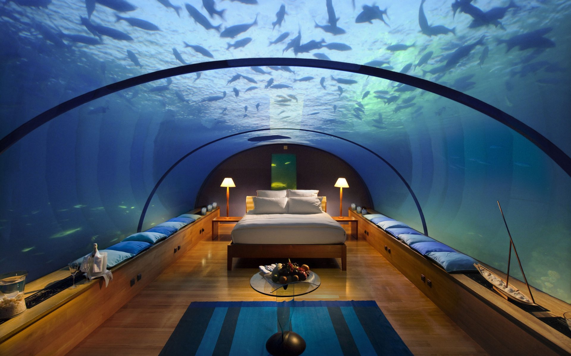 apartment under water bed underwater inhabitants want