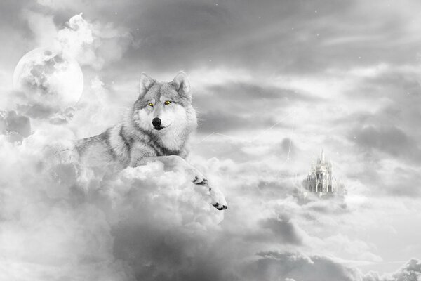 Big wolf on the background of clouds