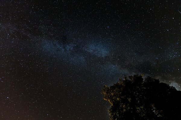 Estrellas noche vía láctea