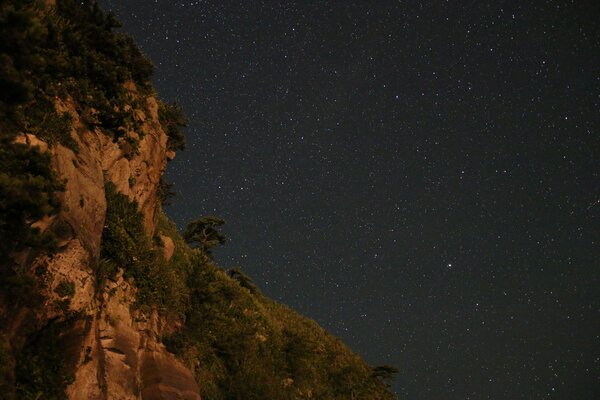 Natura notturna con cielo stellato