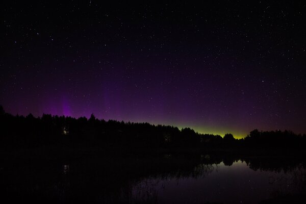 Northern lights behind the forest that tranquility valley