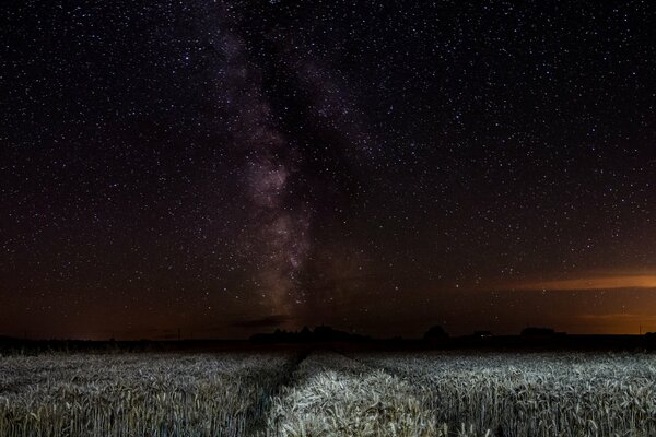 The Milky Way is displayed on the field