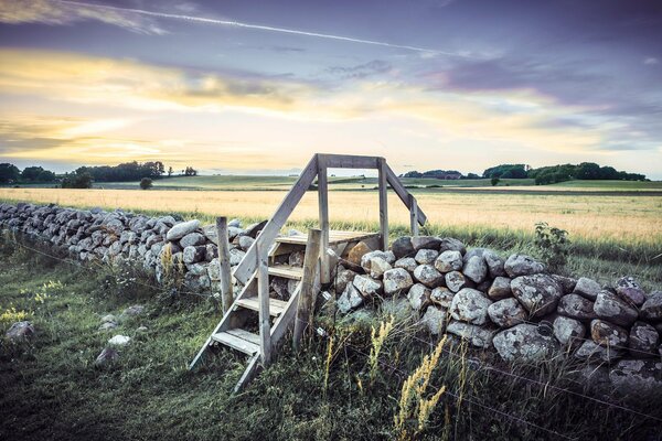 Paesaggio svedese con pietre e alberi