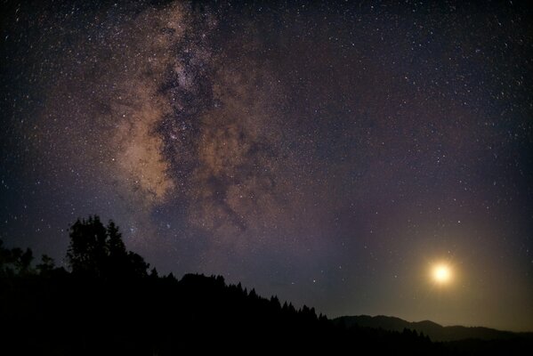 The moon in the starry sky. Night