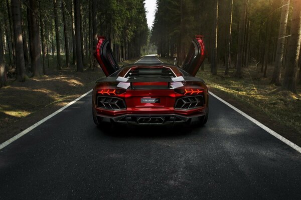 Rouge Lamborghini Aventador sur la piste dans la forêt