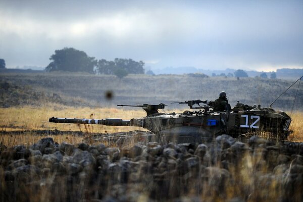 Background with a beautiful tank in the grass