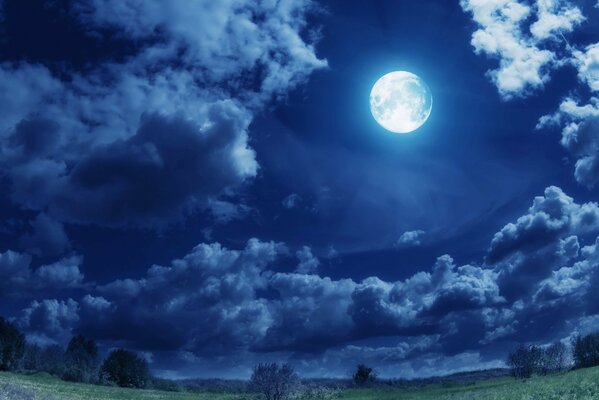 El resplandor de una noche de Luna en un campo con árboles