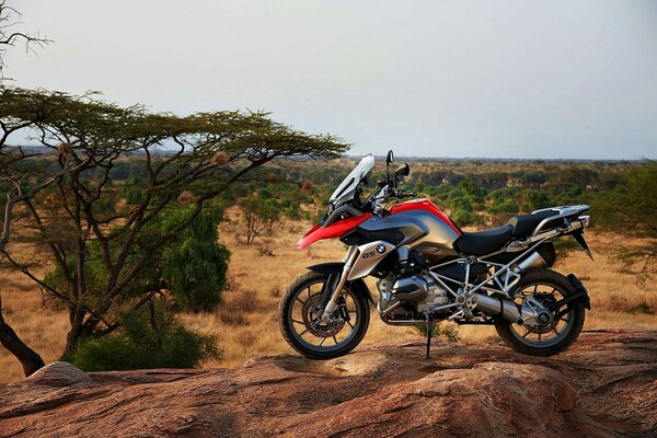A black bmw 2013 motorcycle stands on a slope among the savannah