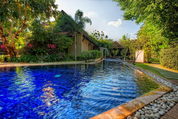 Hotel with cute pool houses