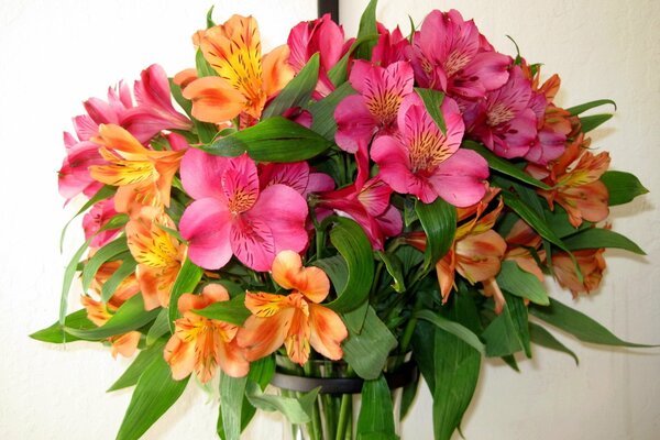 Pink and orange alstermeria are gathered in a bouquet