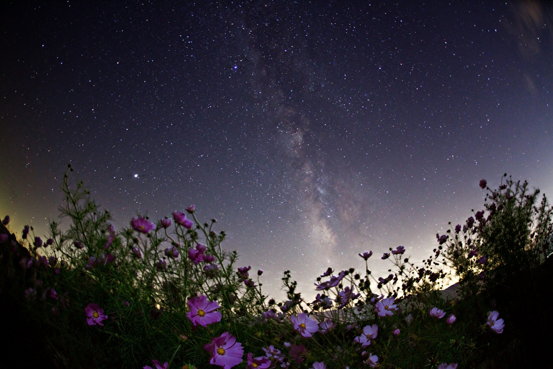 spazio stelle notte spazio via lattea fiori