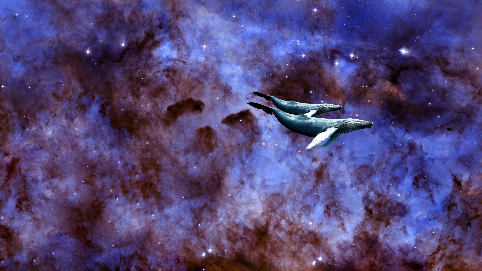 espace espace univers galaxie étoiles baleine