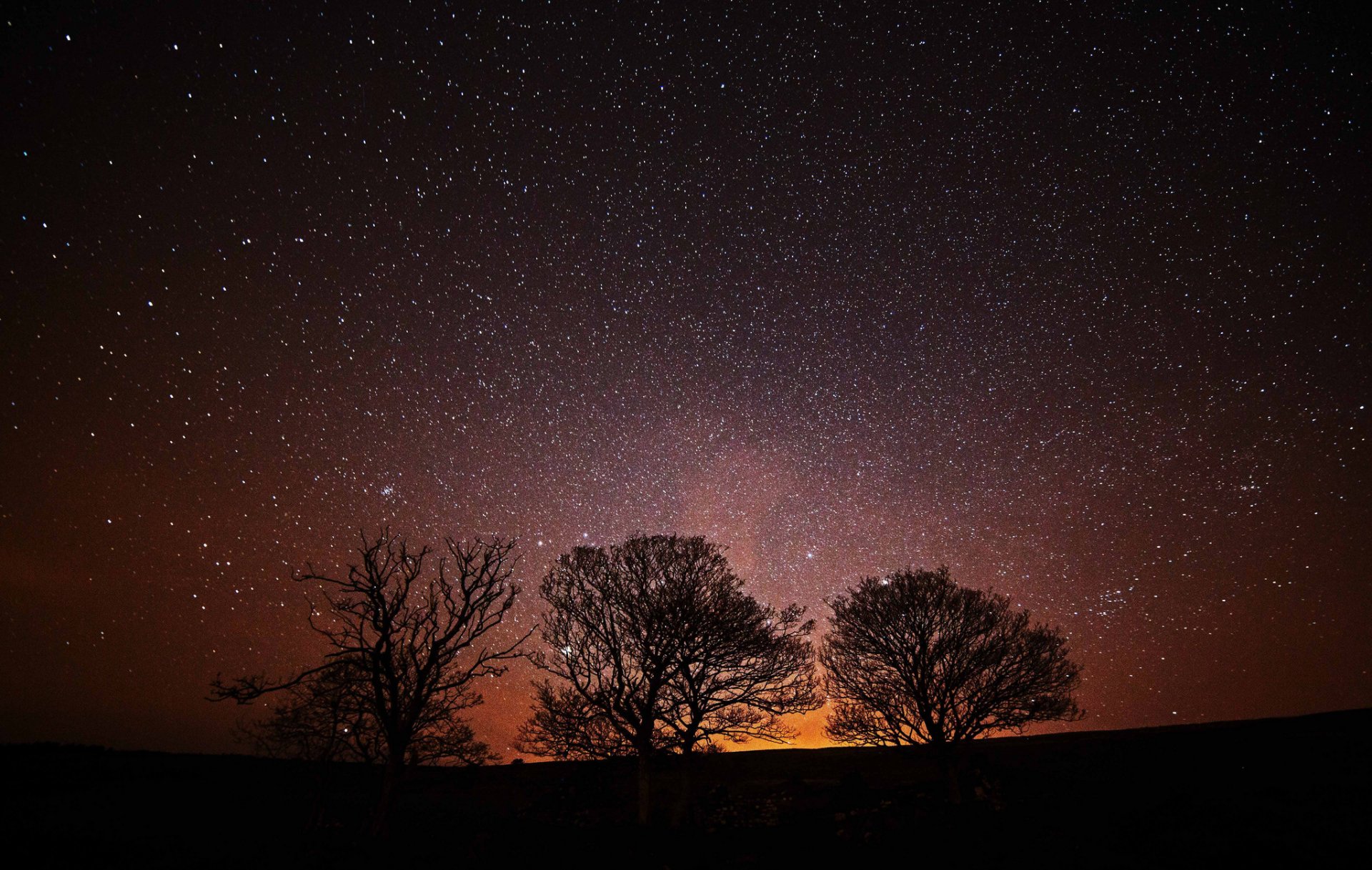 espace étoiles nuit arbres silhouette