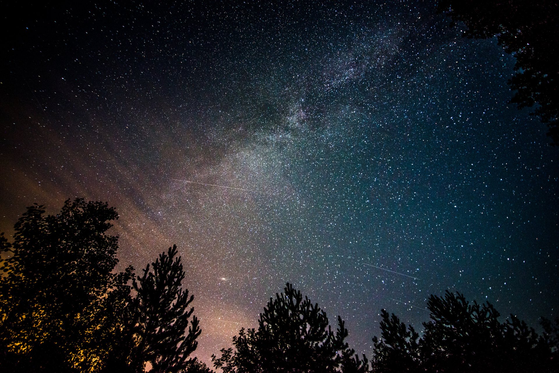 cosmos estrellas vía láctea noche árboles