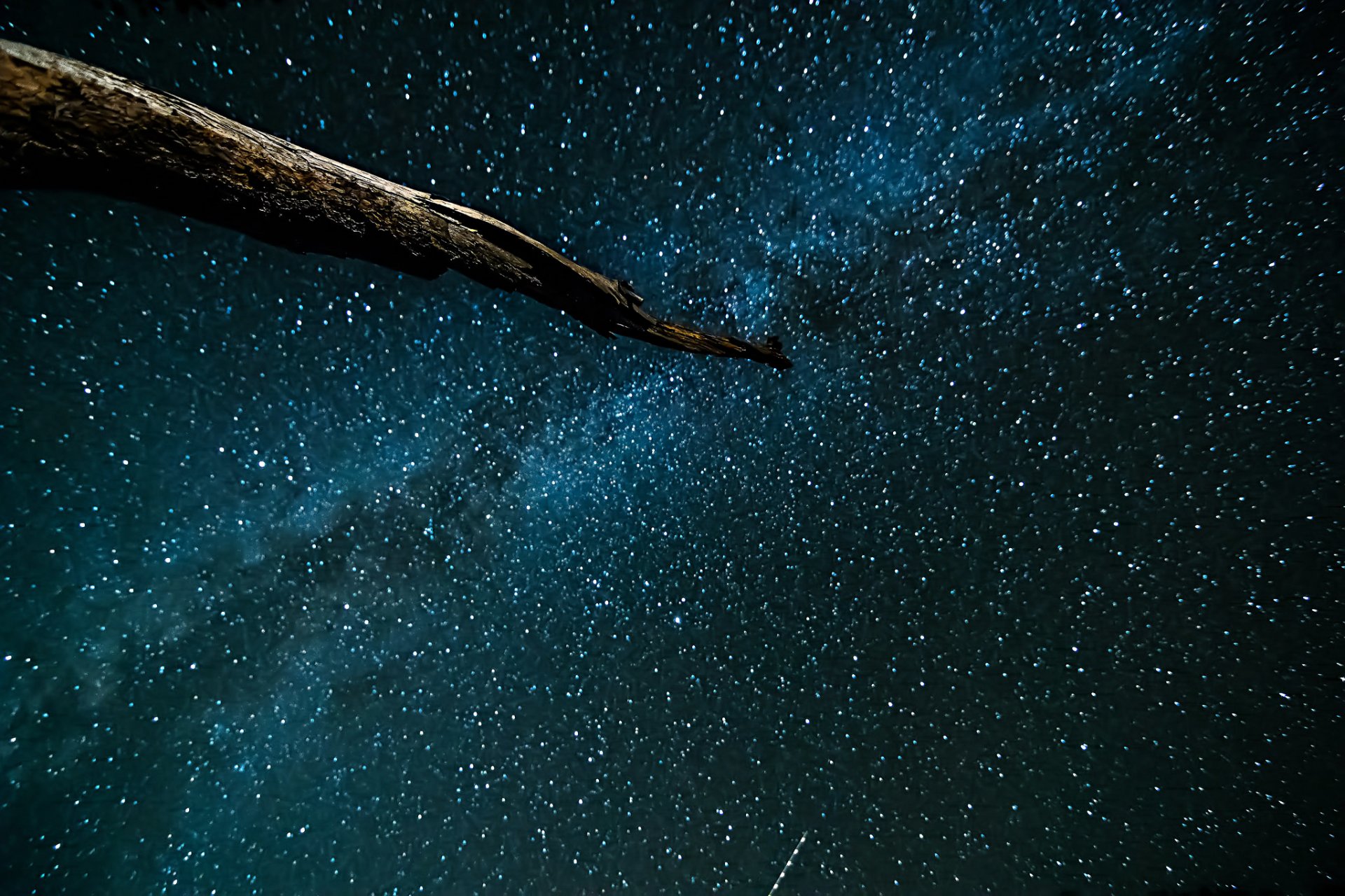 espacio estrellas noche espacio vía láctea tronco