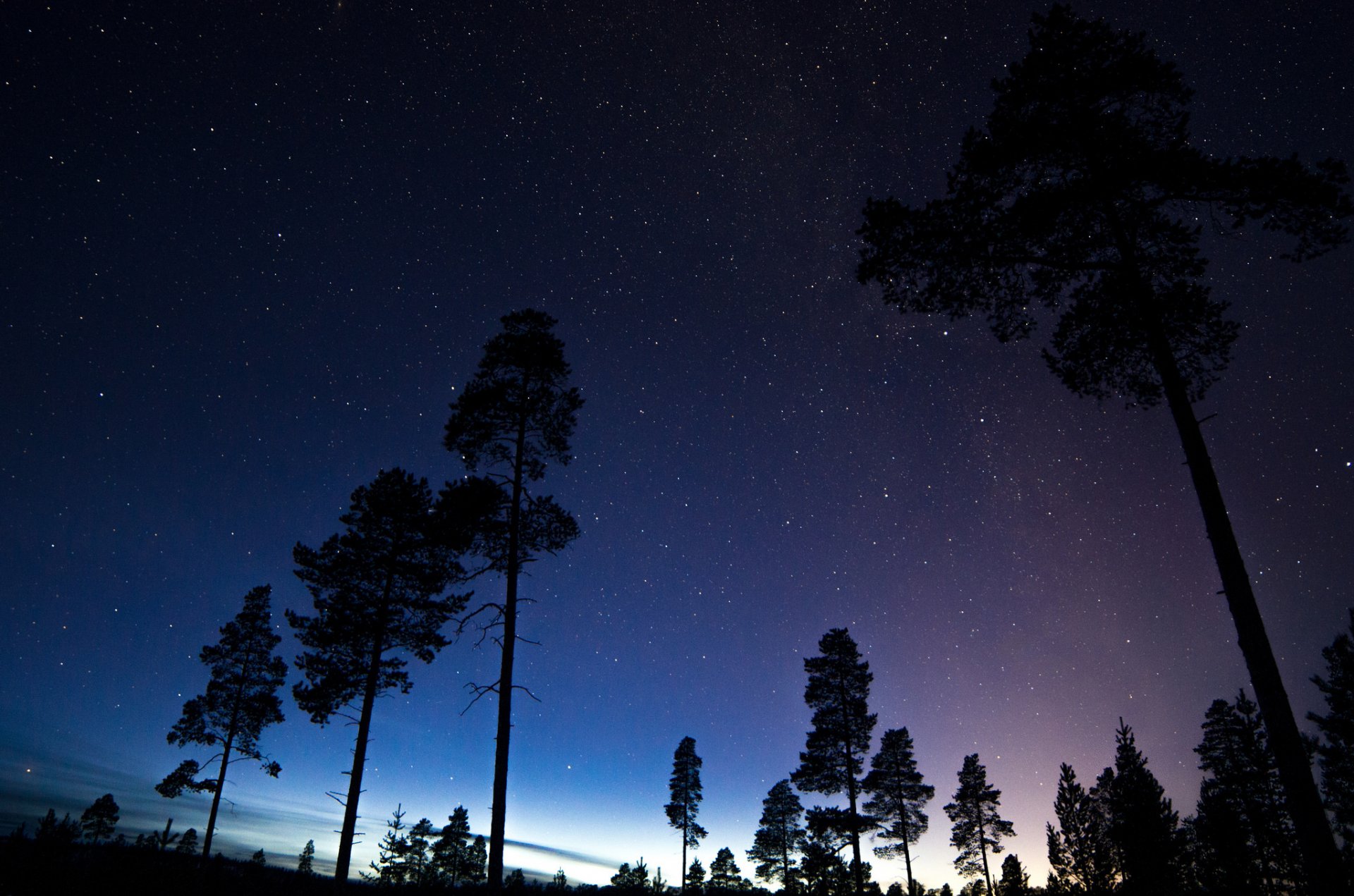 spazio stelle notte spazio alberi