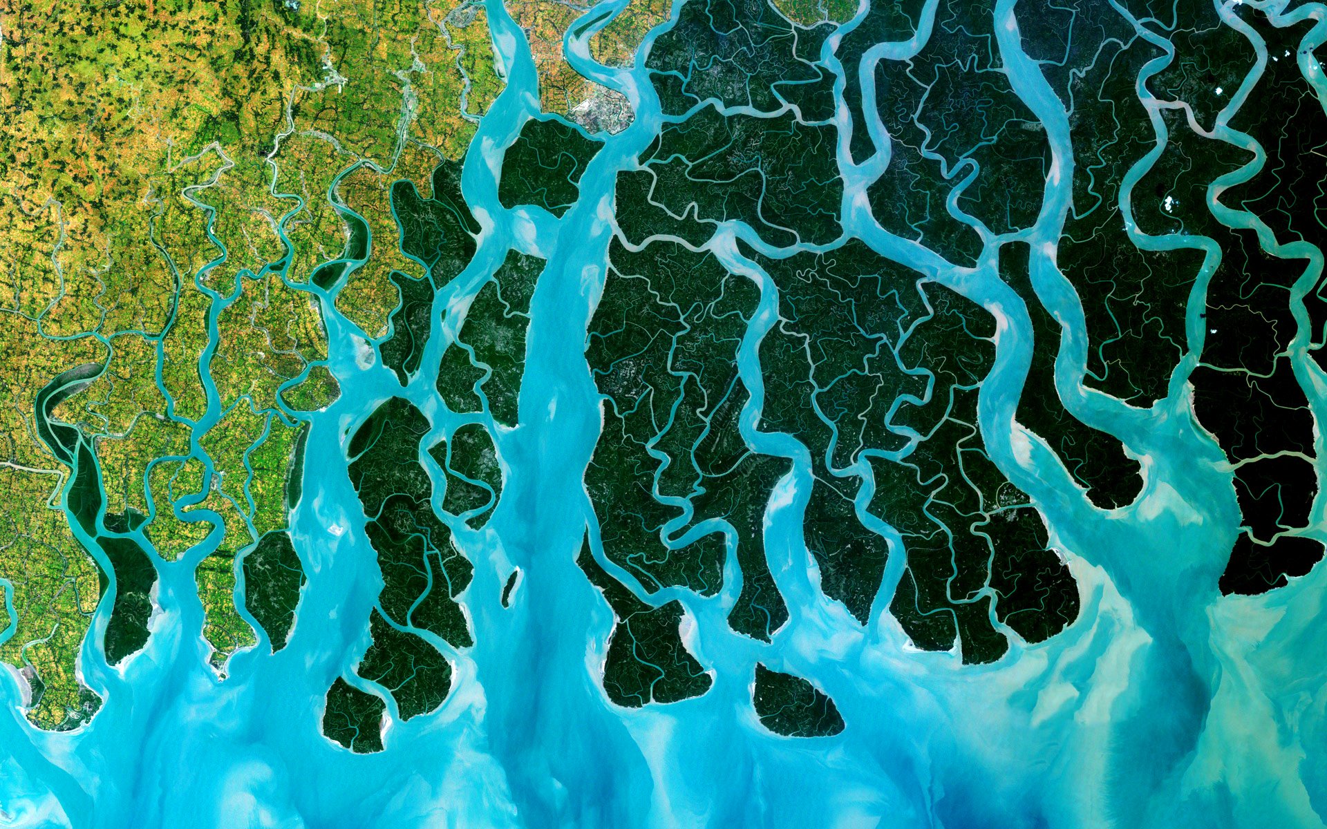 photo satellite delta du gange inde bangladesh