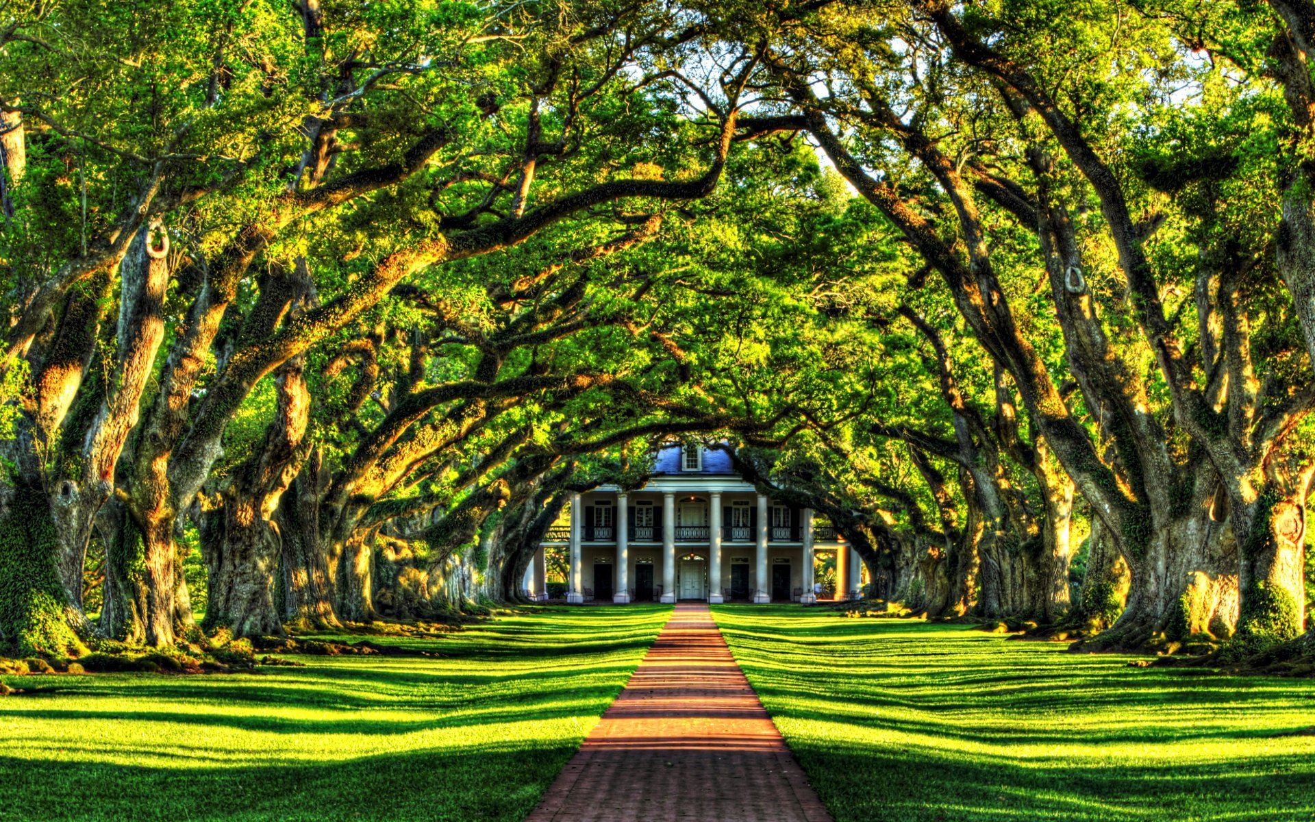 nature villa green trees alley landscape gra