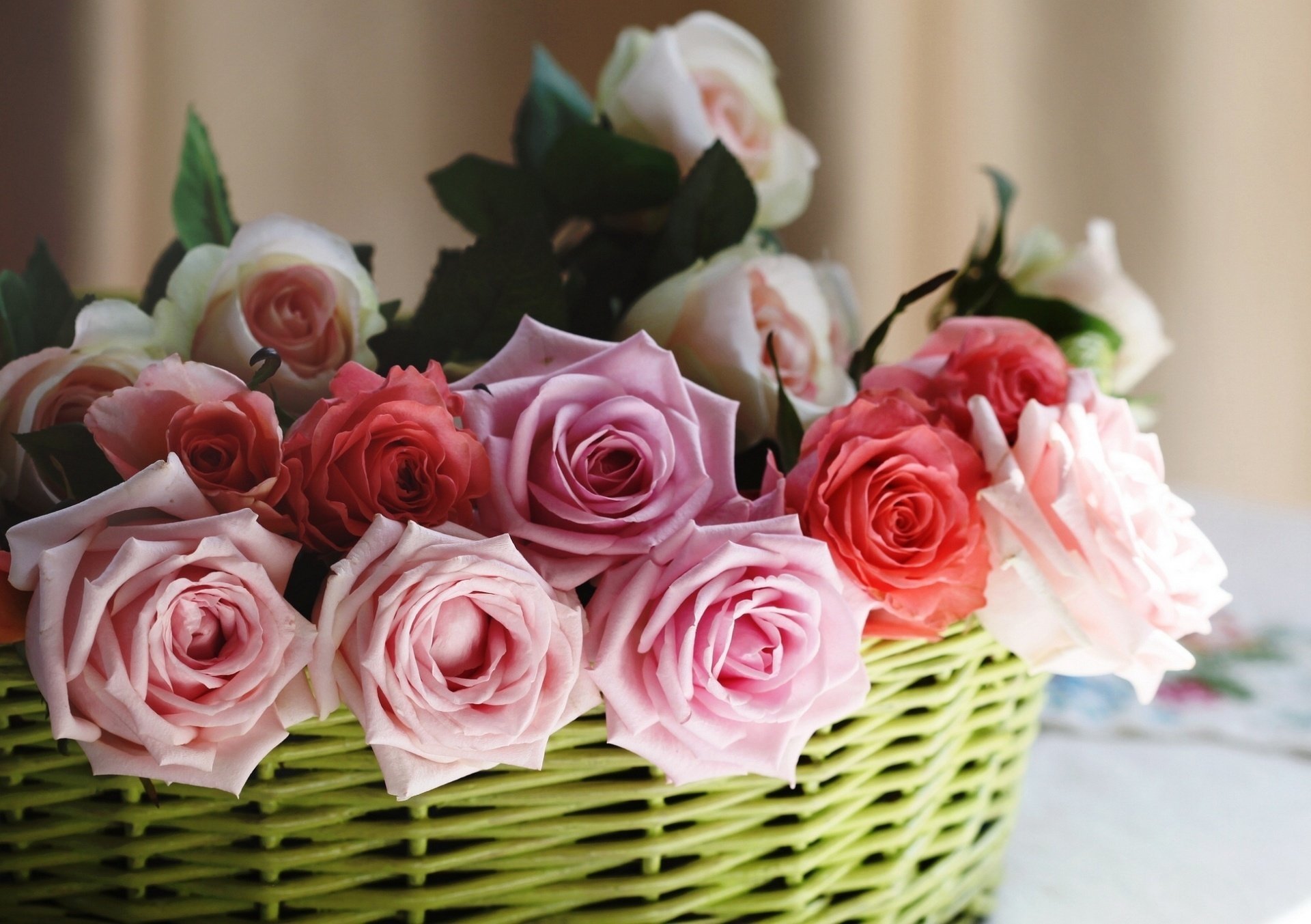 roses bourgeons panier c elena di guardo