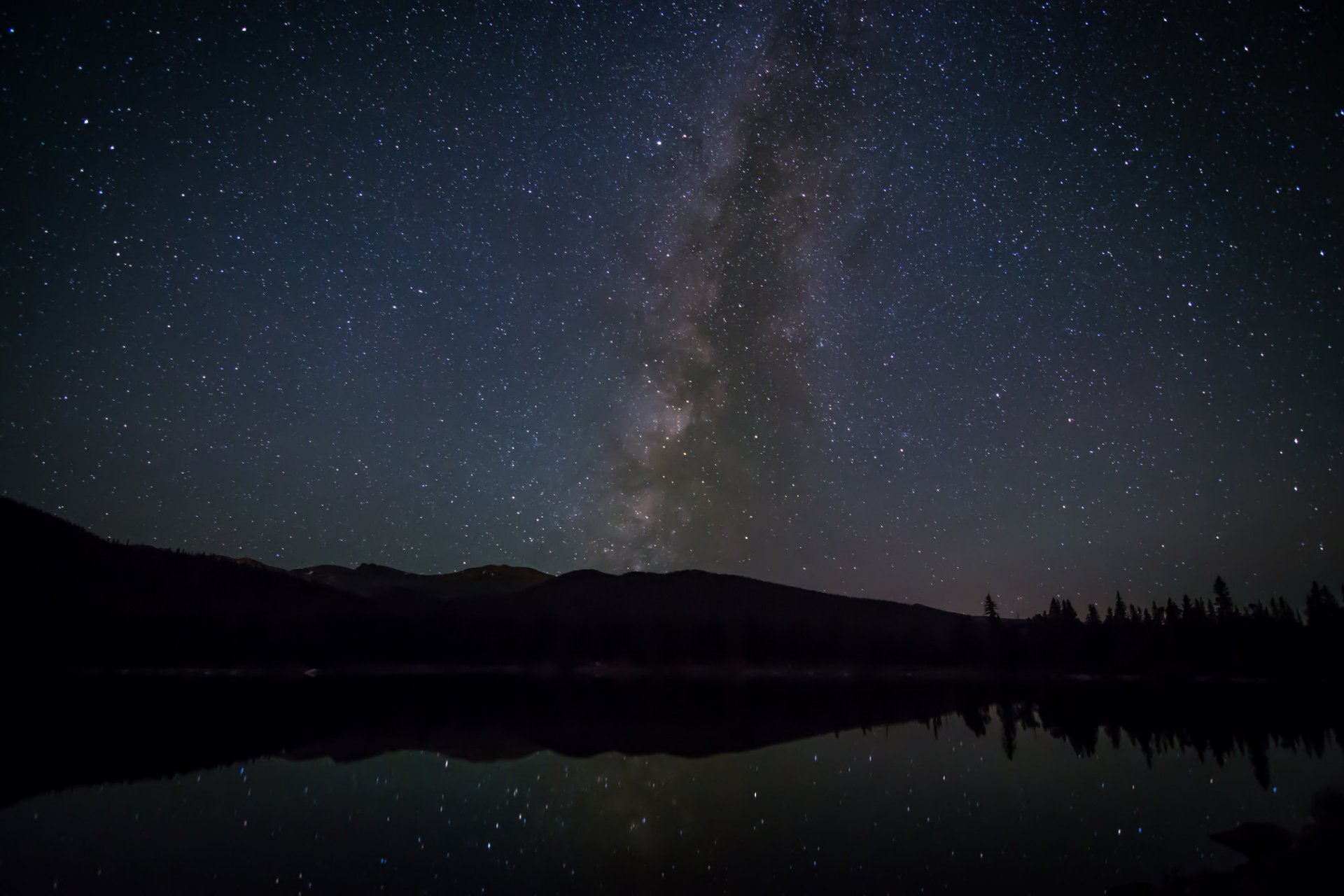 pace star milky way night tree